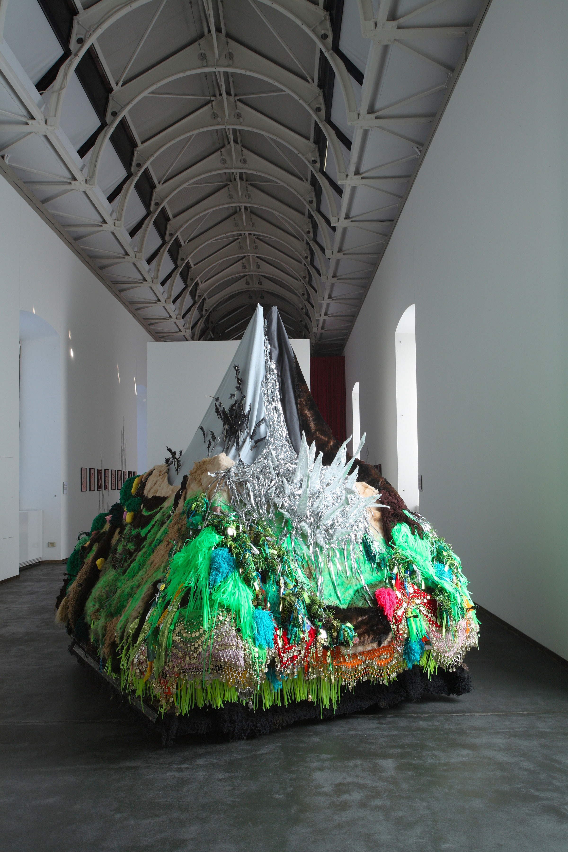 Anna Galtarossa, Aconcagua, 2008